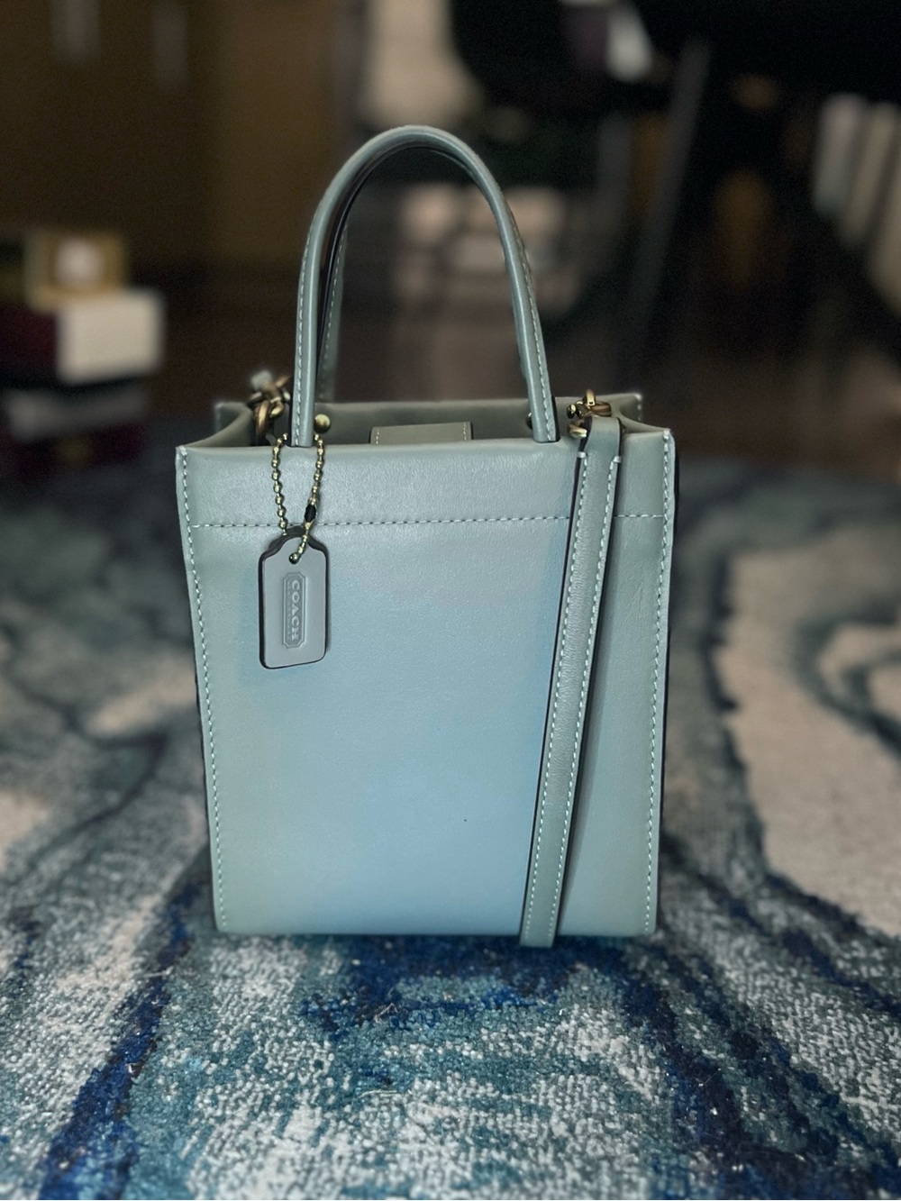 Coach Mini Cashin Carry C4828